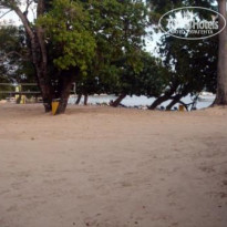 фото из отзыва ID 120080