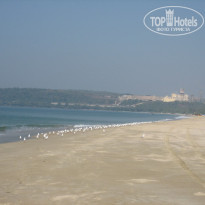 фото из отзыва ID 120095