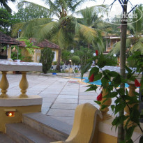 фото из отзыва ID 120095