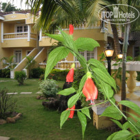 фото из отзыва ID 120095