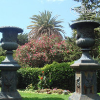 фото из отзыва ID 120109