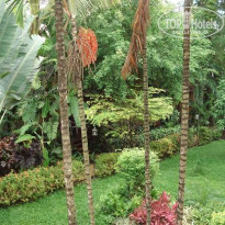 фото из отзыва ID 120227