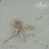 фото из отзыва ID 120331