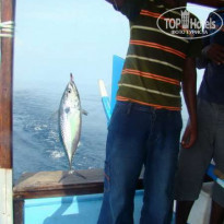 фото из отзыва ID 120331