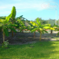 фото из отзыва ID 120331