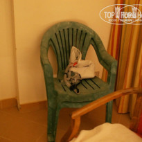 фото из отзыва ID 120654