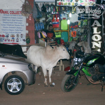 фото из отзыва ID 1200123