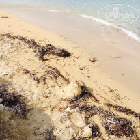 фото из отзыва ID 1200267