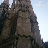 фото из отзыва ID 1200019