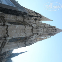 фото из отзыва ID 1200019