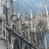 фото из отзыва ID 1200019