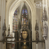 фото из отзыва ID 1200019