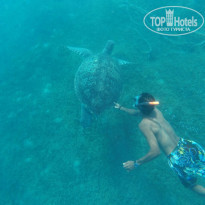 фото из отзыва ID 1200376