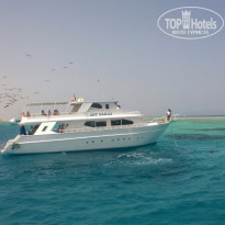 фото из отзыва ID 1200376