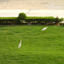 фото из отзыва ID 1200524