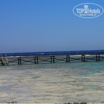 фото из отзыва ID 1200524