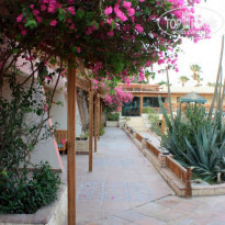 фото из отзыва ID 1200545