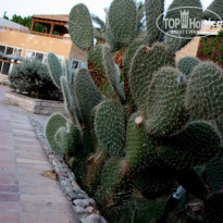 фото из отзыва ID 1200545