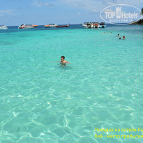 фото из отзыва ID 1200603