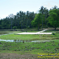 фото из отзыва ID 1200603