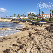 фото из отзыва ID 1200738