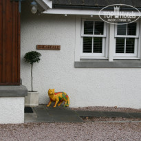 фото из отзыва ID 1200762