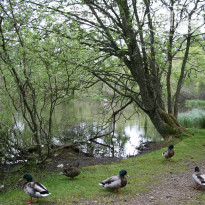 фото из отзыва ID 1200762