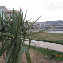 фото из отзыва ID 1200768