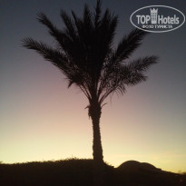 фото из отзыва ID 1200994