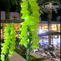 фото из отзыва ID 1201142