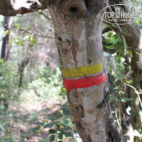 фото из отзыва ID 1201276