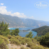 фото из отзыва ID 1201276