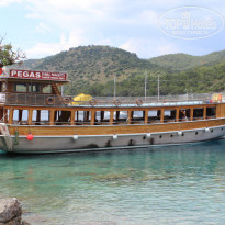 фото из отзыва ID 1201276