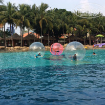 фото из отзыва ID 1201453