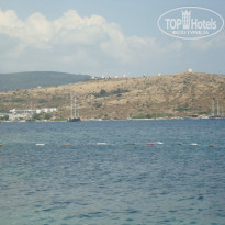 фото из отзыва ID 1201626