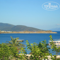 фото из отзыва ID 1201626