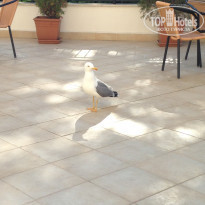 фото из отзыва ID 1201688