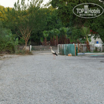 фото из отзыва ID 1201858