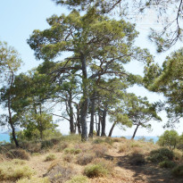 фото из отзыва ID 1201858