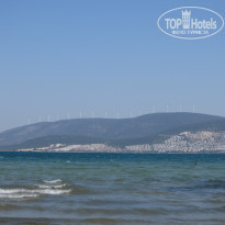 фото из отзыва ID 1201894