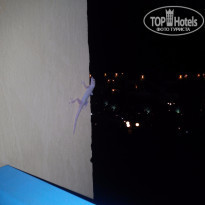 фото из отзыва ID 1202026