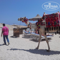 фото из отзыва ID 1202026