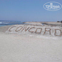 фото из отзыва ID 1202026