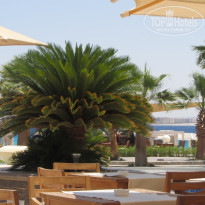 фото из отзыва ID 1202126