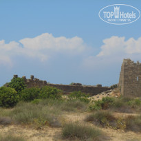 фото из отзыва ID 1202190