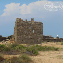 фото из отзыва ID 1202190