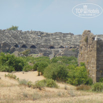 фото из отзыва ID 1202190