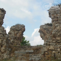 фото из отзыва ID 1202190