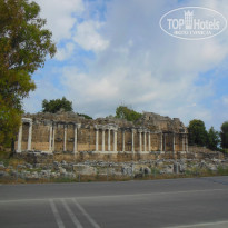 фото из отзыва ID 1202190