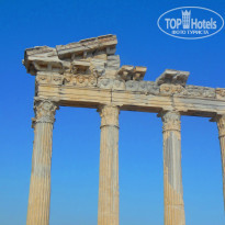 фото из отзыва ID 1202190